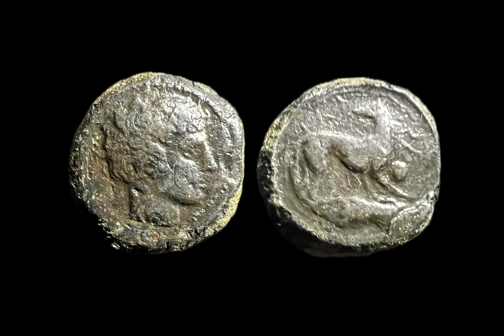 Agathocles Syracuse (i.e.295-289) AE 