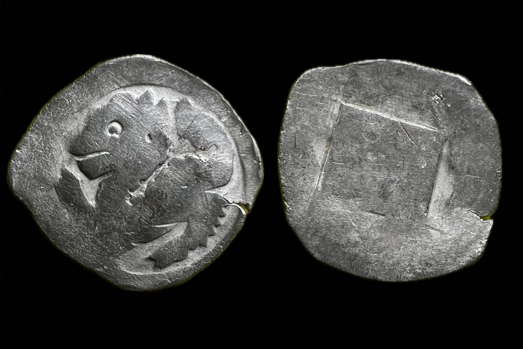 III.Rudolf (1298-1306) pfennig CNA-B200 