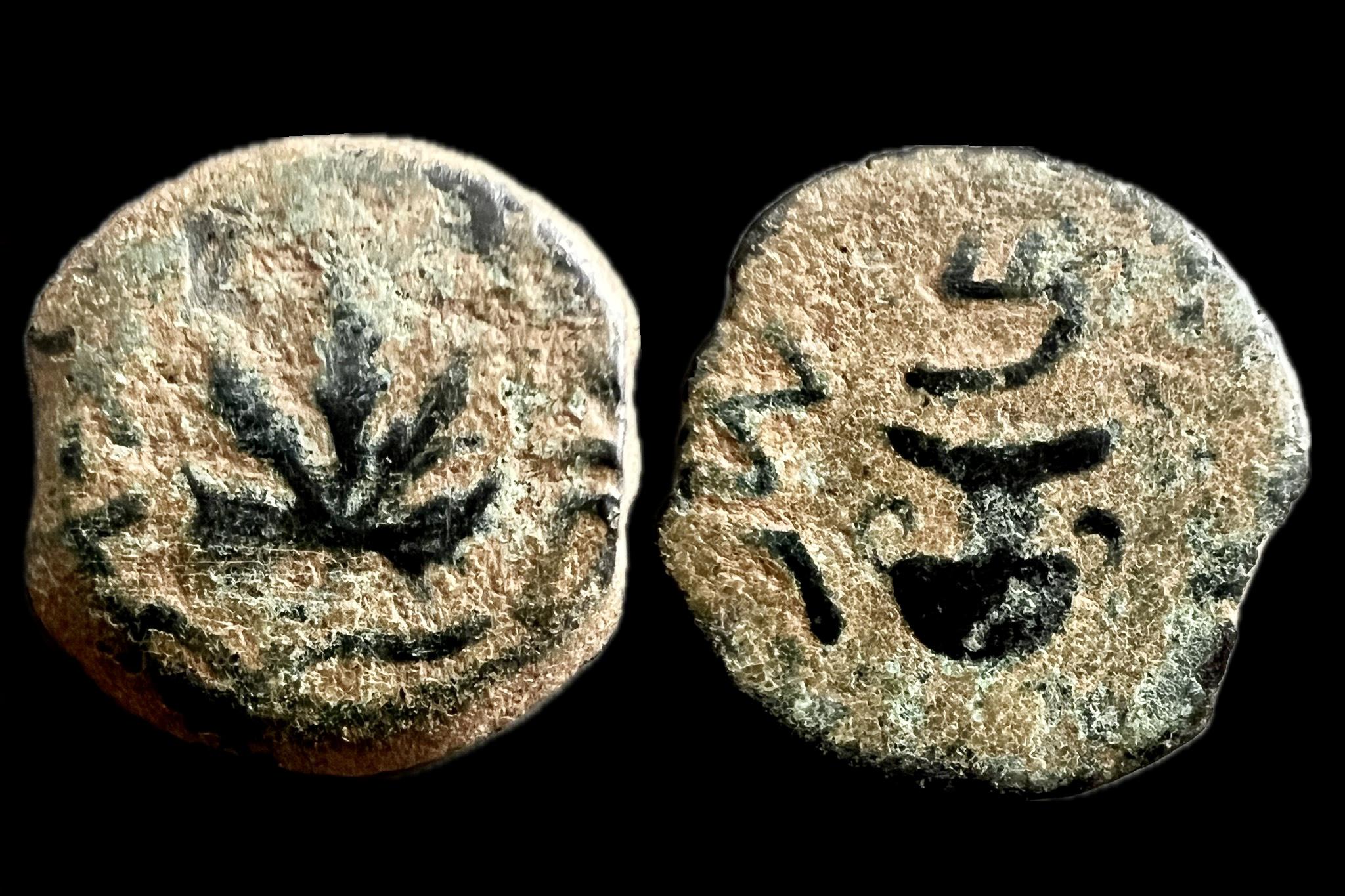 Bibliai érme Judea I. Zsidó háború prutah (felkelés) 66-67 Vespasianus ellen  TJC 196; Sofaer 11-4; bronz Hendin 1360 