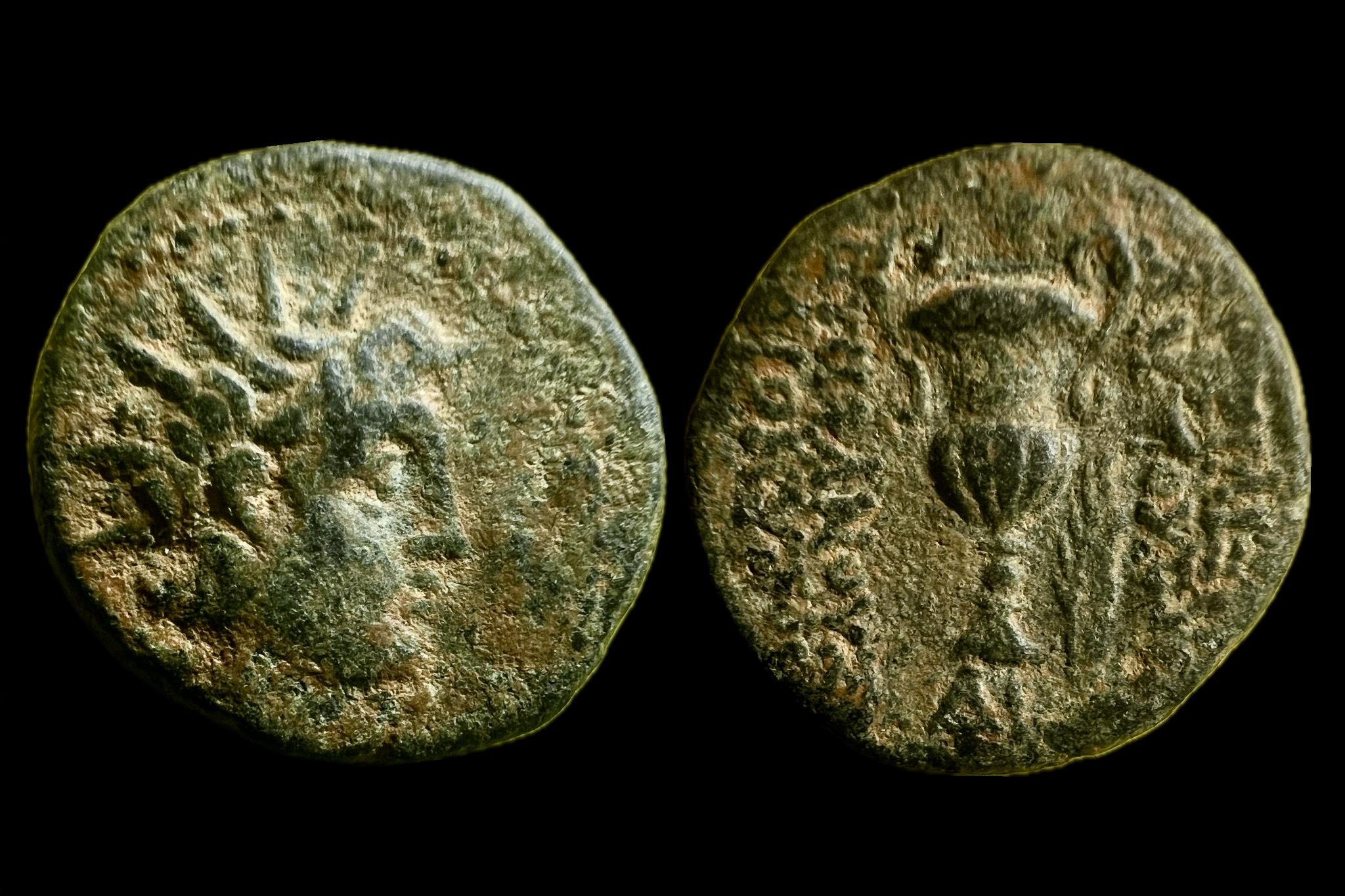 Szeleukida Királyság VI. Antiochos Dionysos (i.e.144-142) Apameia AE BAΣIΛEΩΣ ANTIOXOY___EΠIΦANOYΣ ΔIONYΣOY SC2015