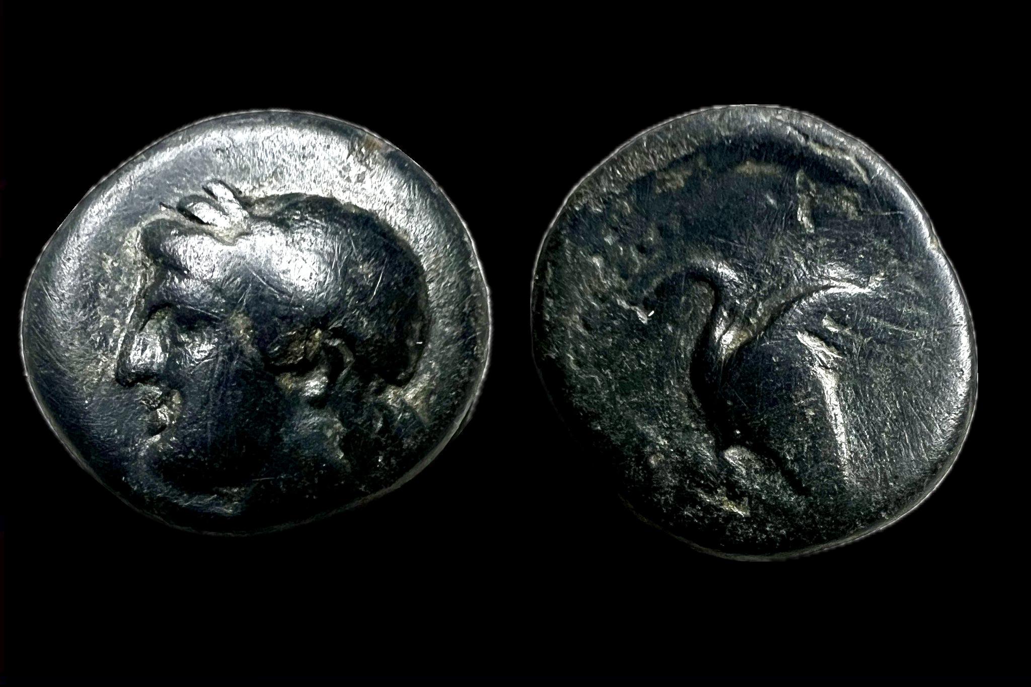 Ionia Leukai Æ i.e.350-300 SNG Copenhagen 799 