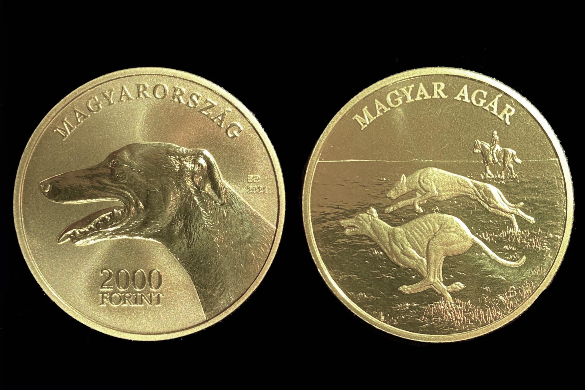 2021. évi Magyar agár színesfém emlékérme Proof like UNC prospektussal
