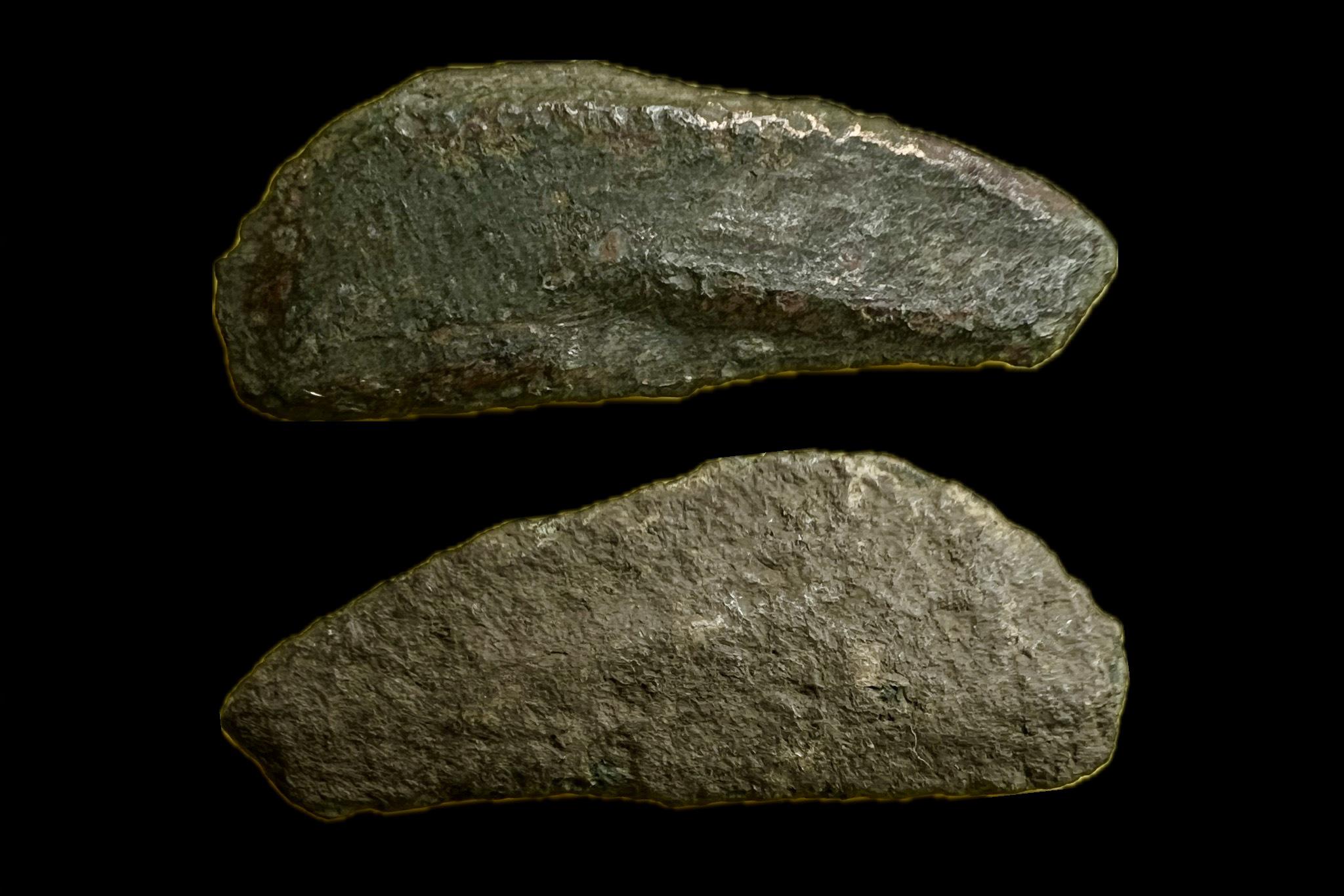 Olbia Sarmatia Delfin pénz i.e.550-525 Puskin 12 BM 360 