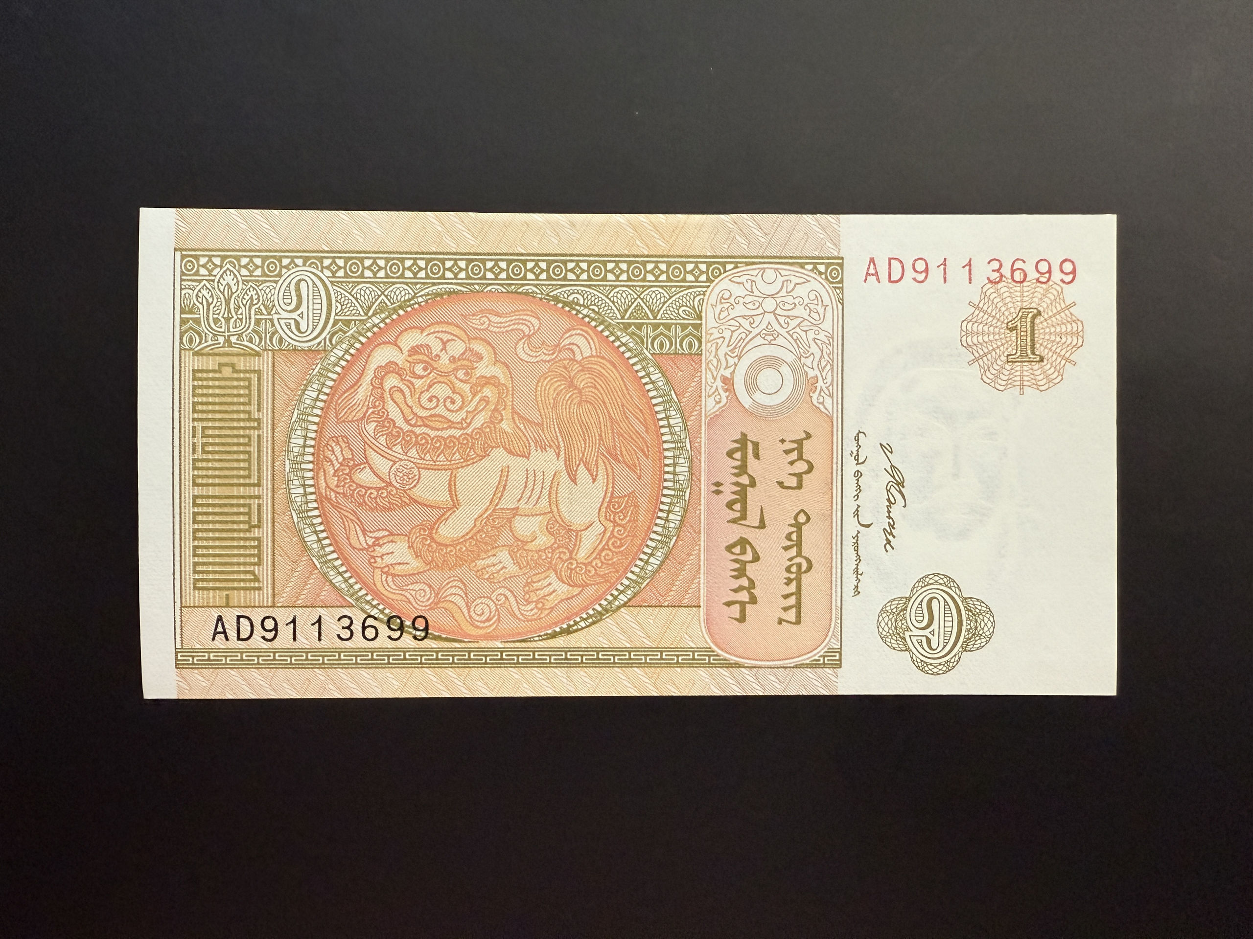 MONGOLIA 1 Tөгрөг 2008 (P.61A) UNC