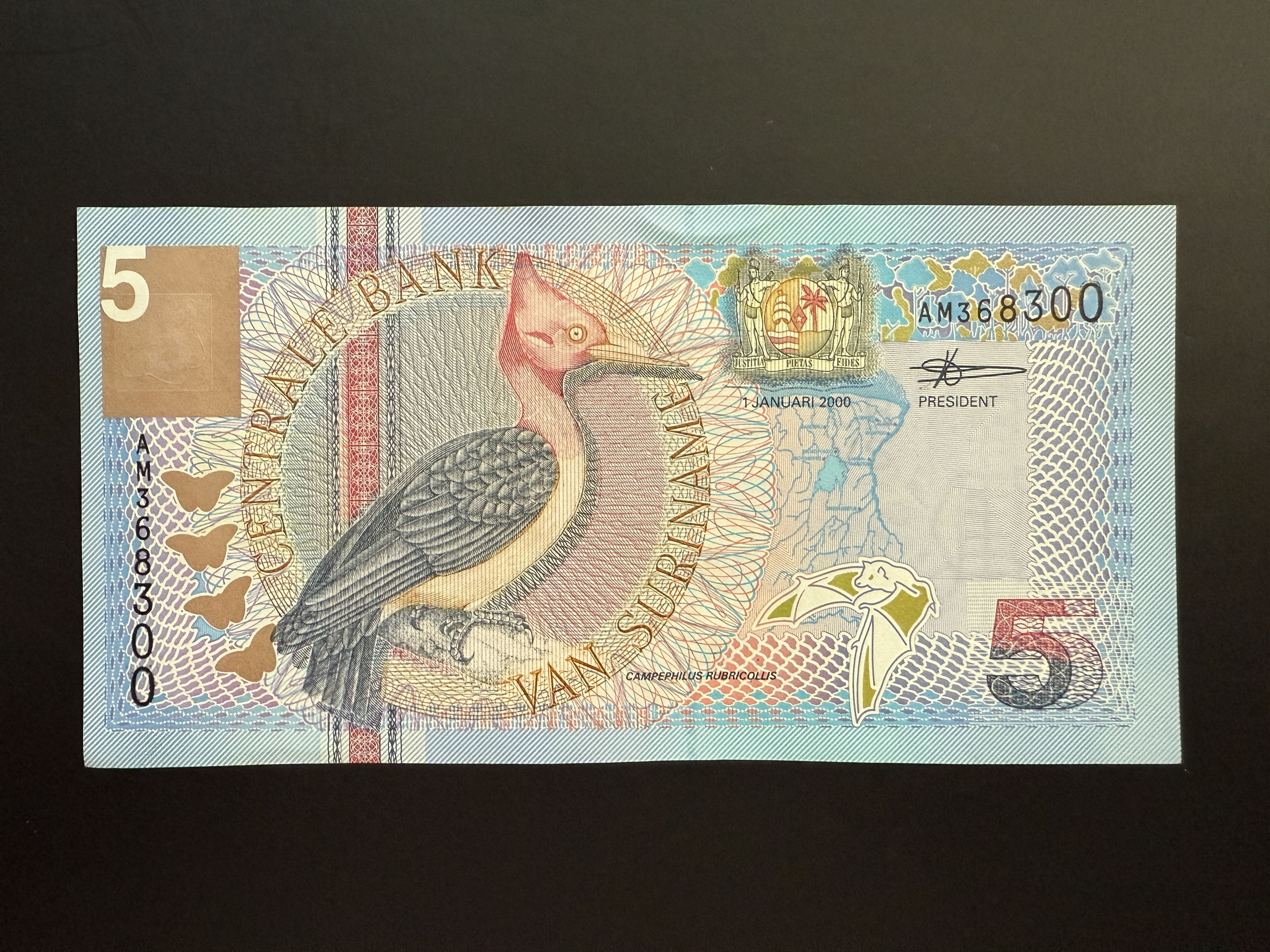 SURINAME 5 Gulden 1.1.2000 (P.146) UNC