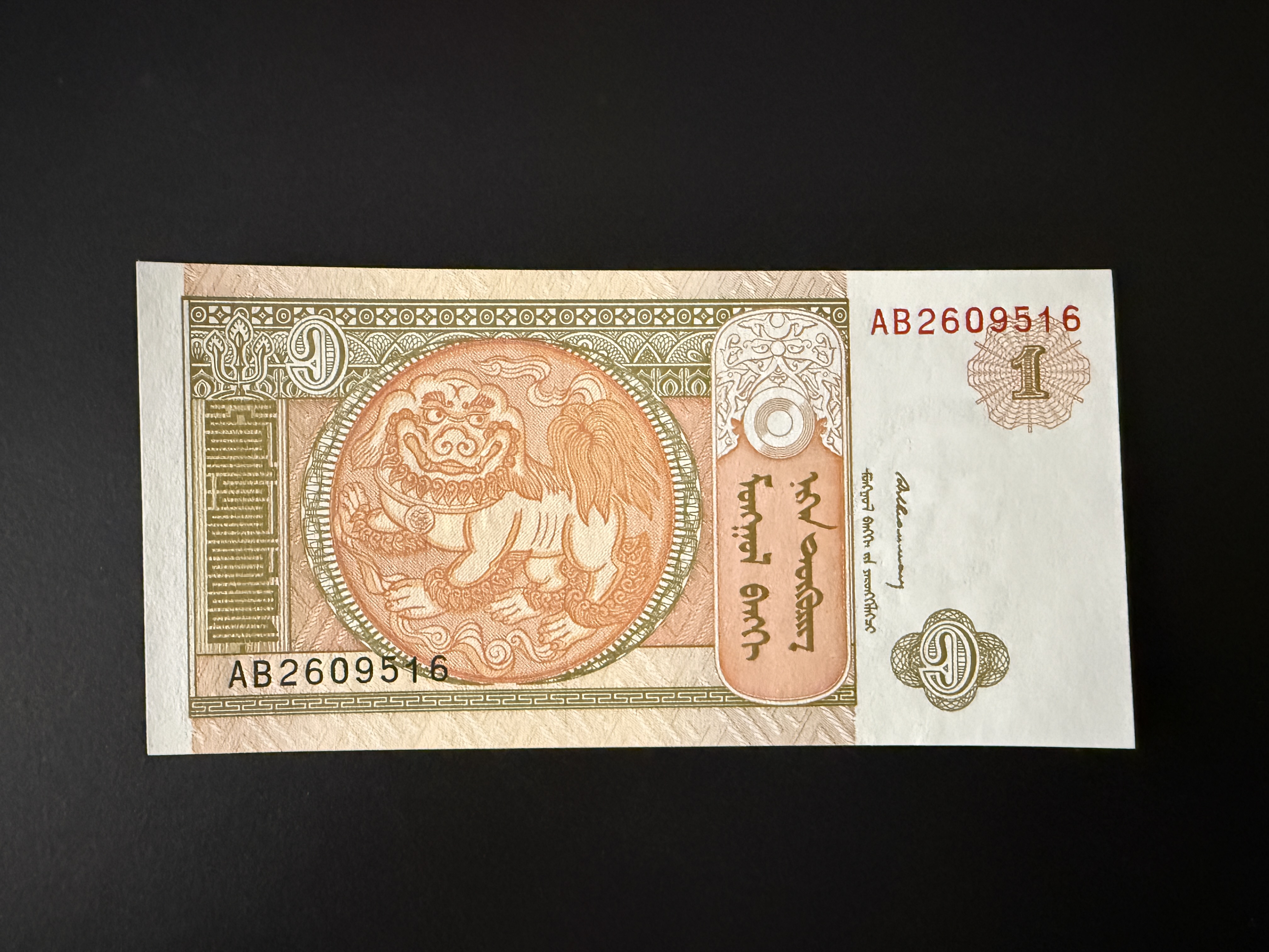 MONGOLIA 1 Tөгрөг 1993 (P.52) UNC