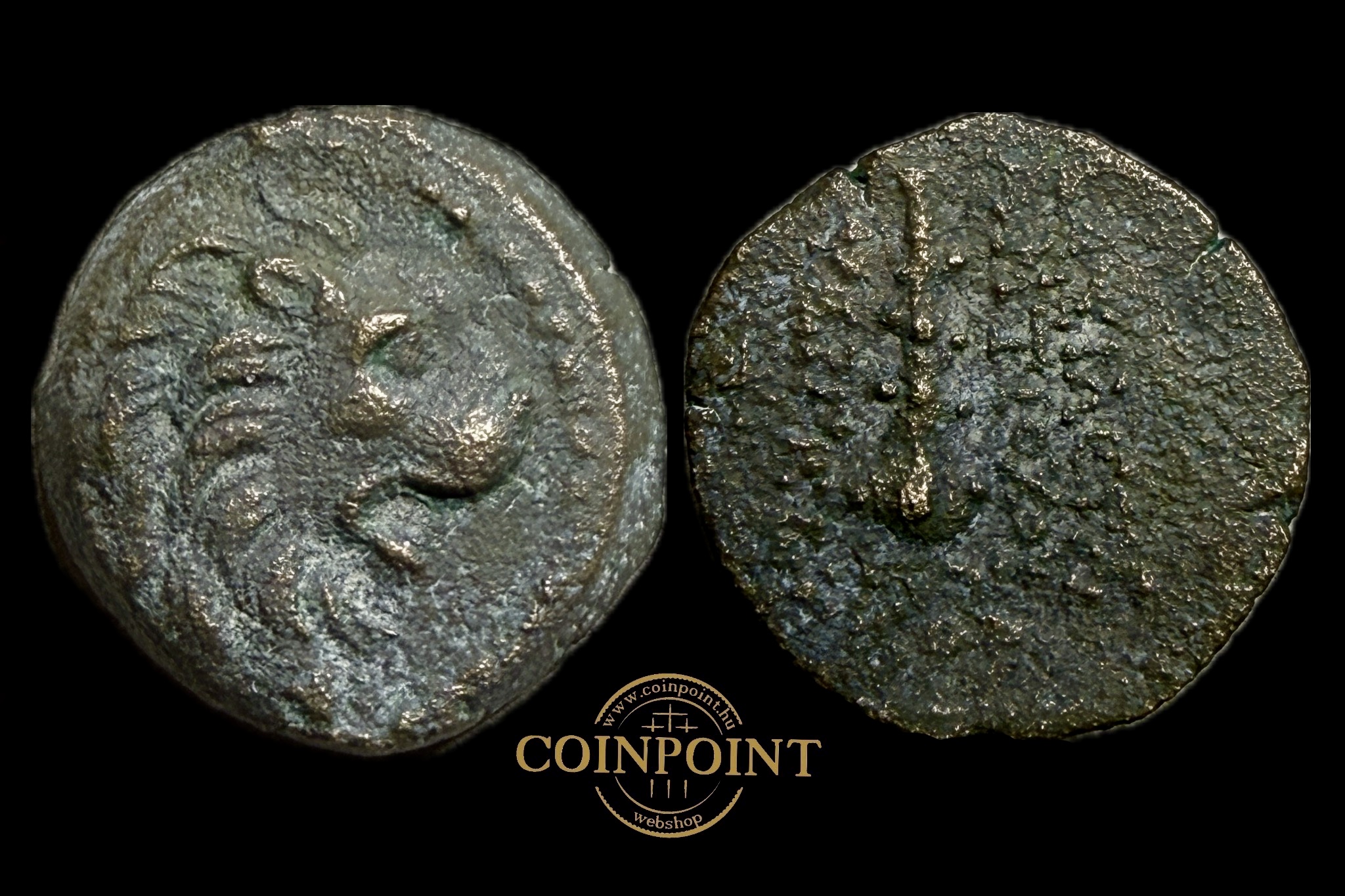 Szeleukida Királyság VII.Antiochos Lion(i.e.138-129)