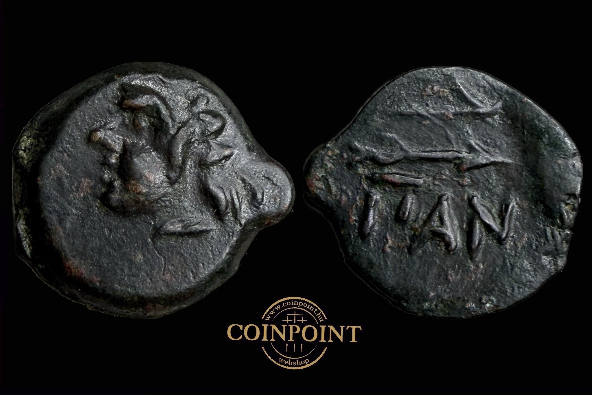 Bosporus Királyság Pantikapion Cimmerian (i.e.310-304) HALF! AE