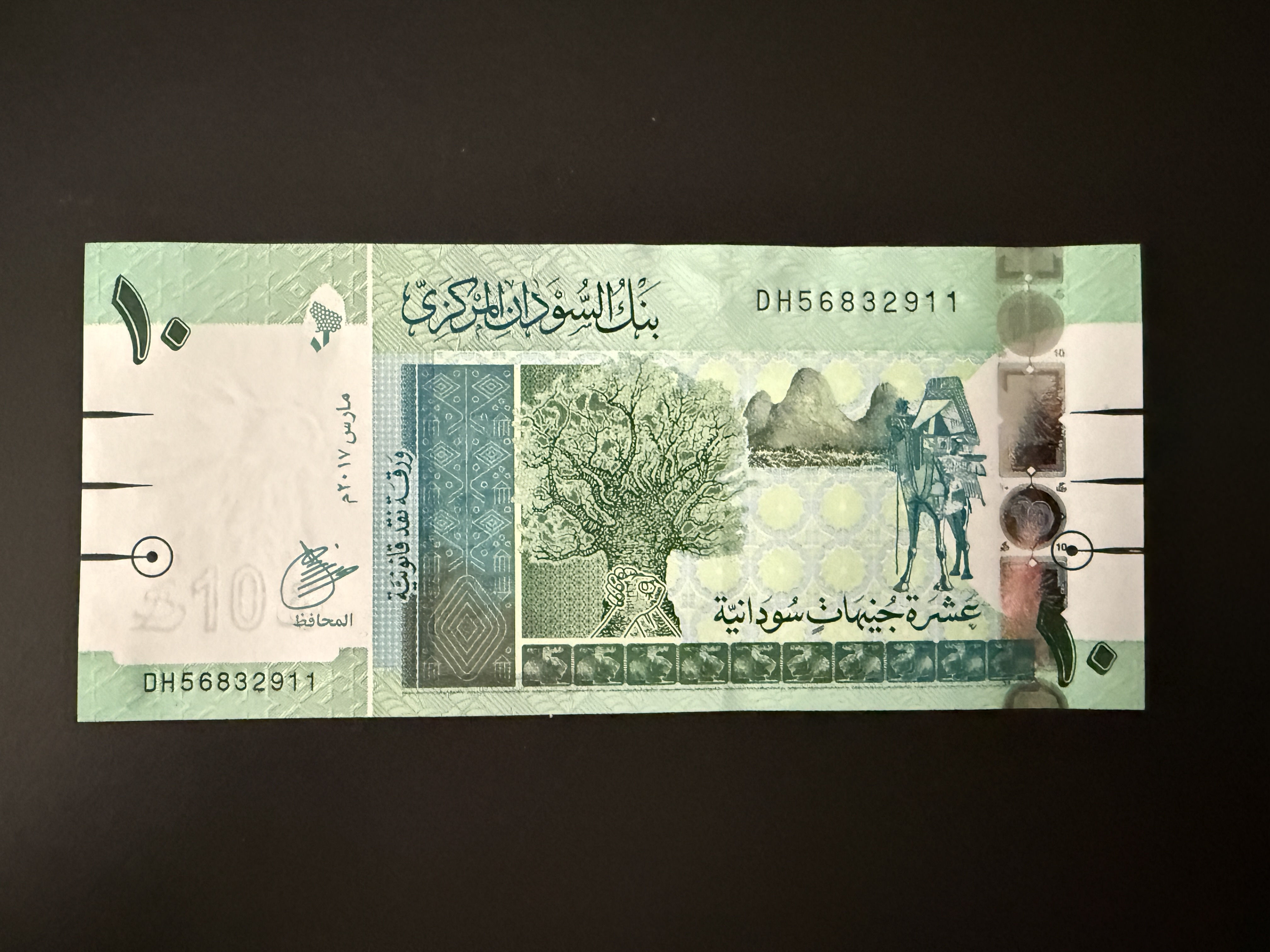 SUDAN 10 Pounds March 2017 (P.73) UNC