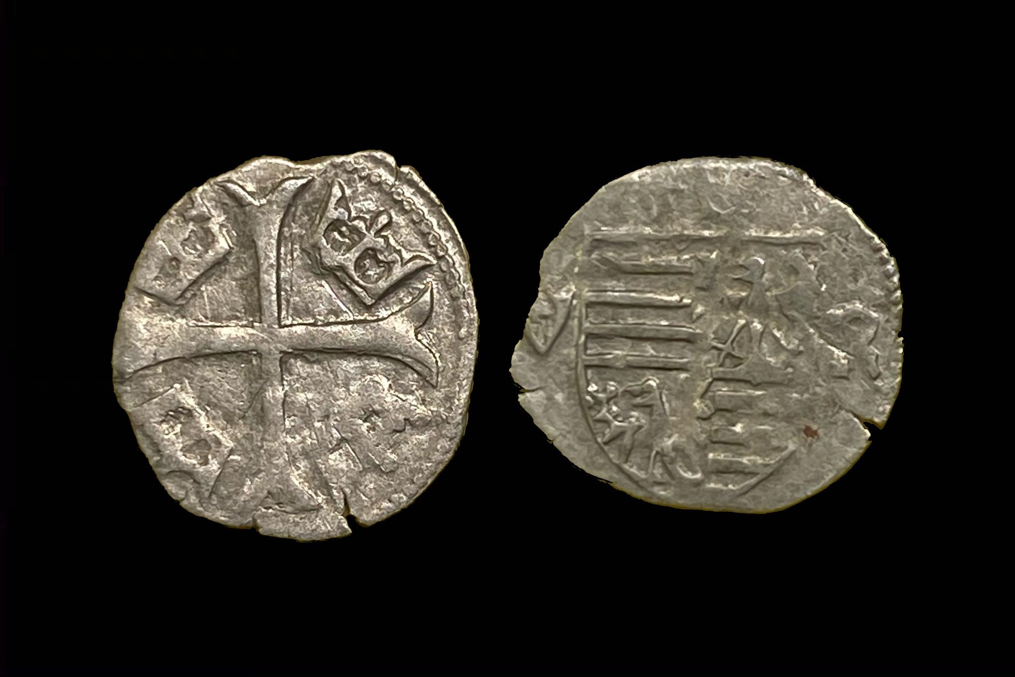 Zsigmond parvus Éh-451