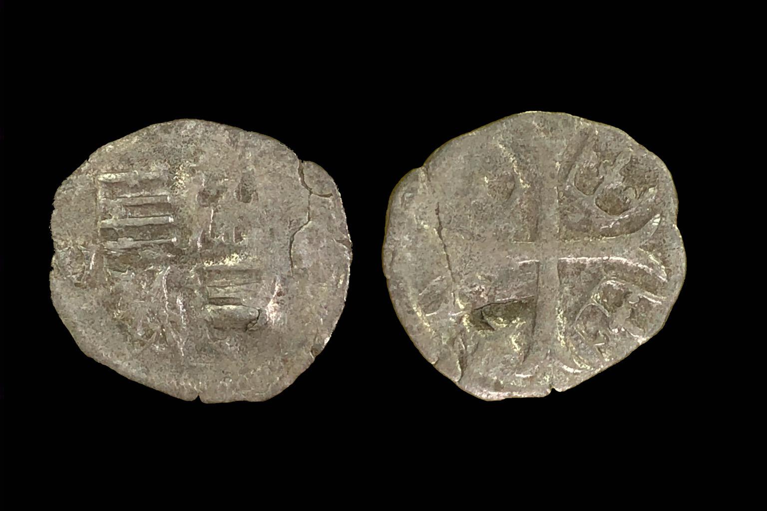 Zsigmond parvus Éh-451