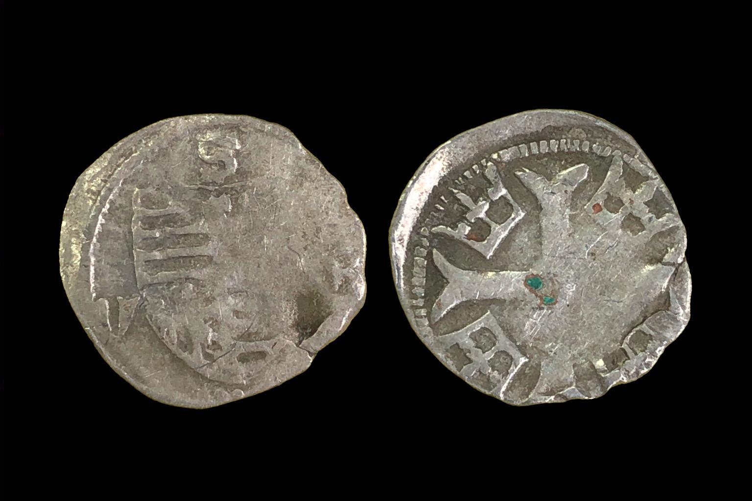 Zsigmond parvus Éh-451