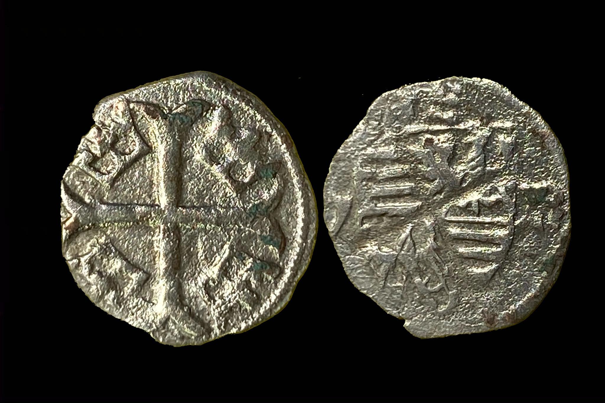 Zsigmond parvus Éh-451