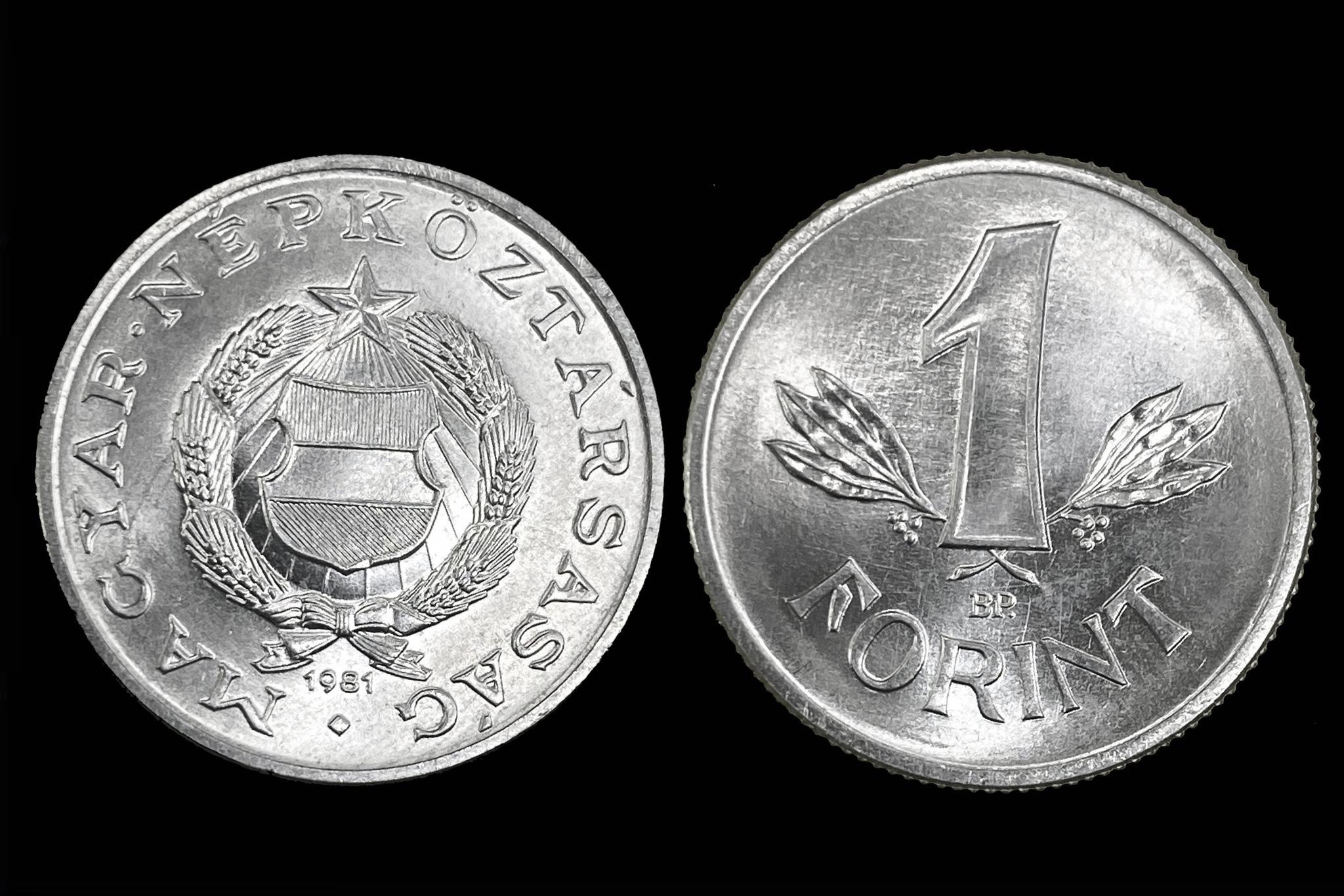 1 Forint (1981) Adamo F6.3
