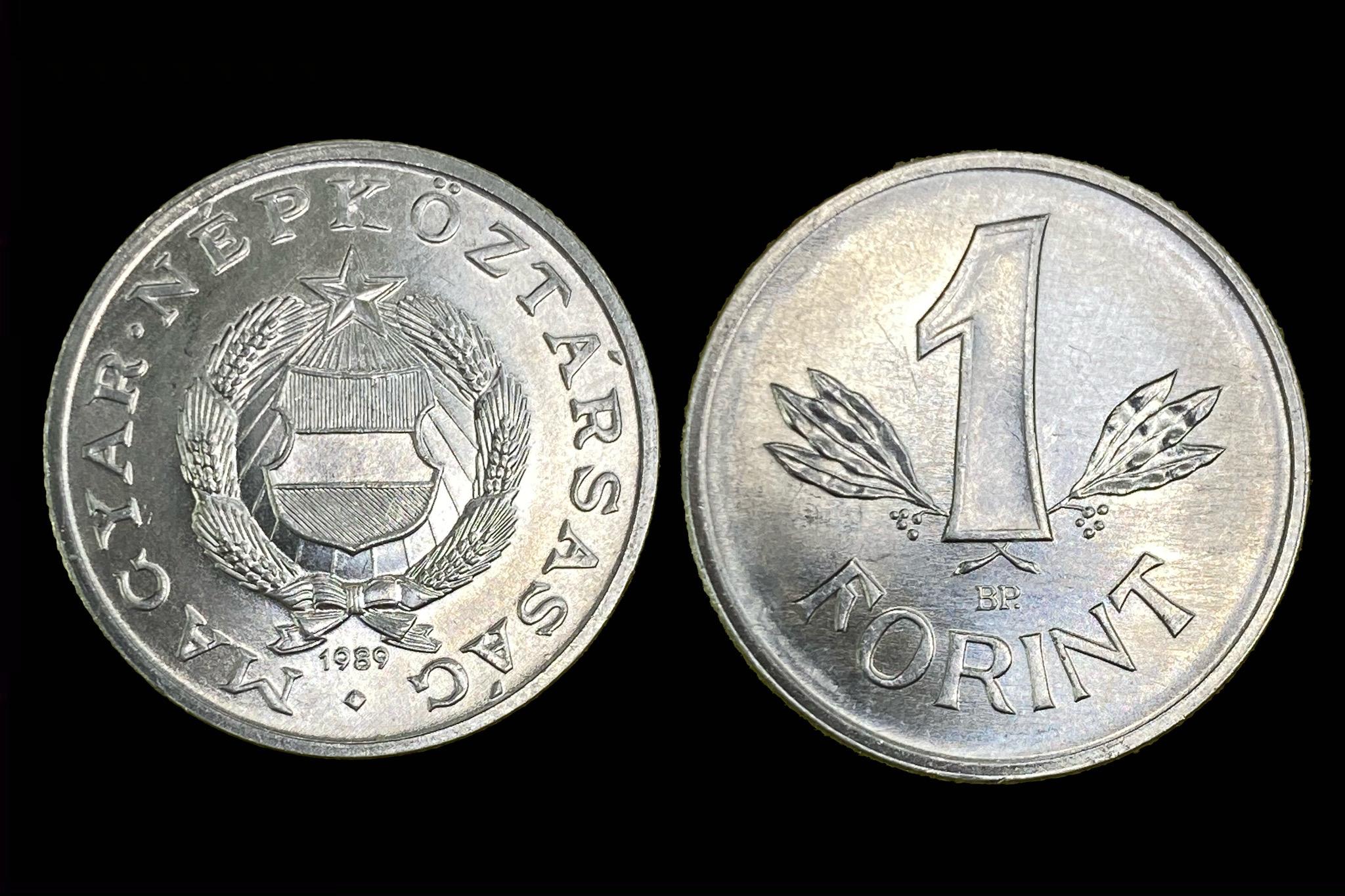 1 Forint (1989) Adamo F6.3