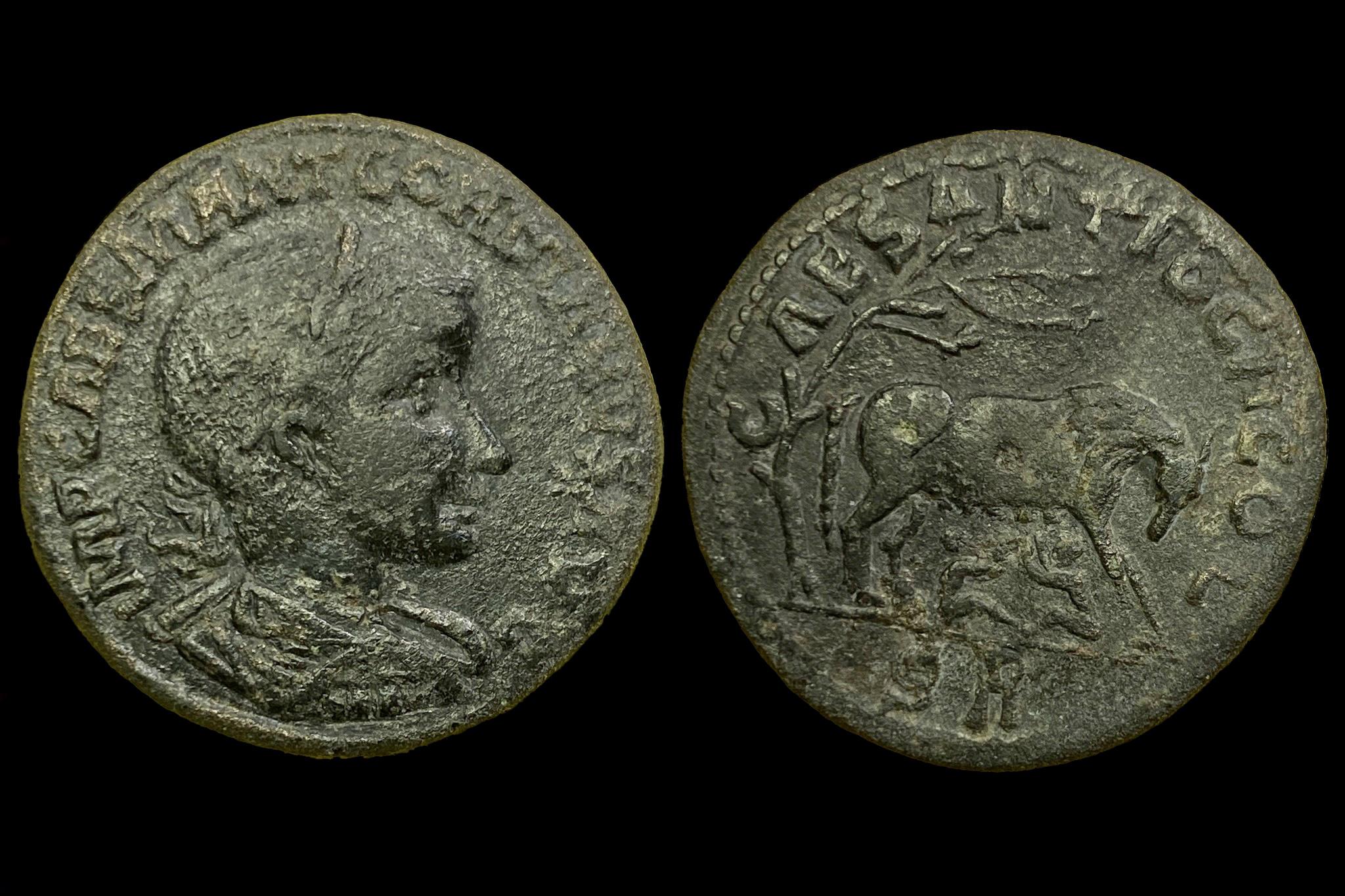 III.Gordian Pisidia, Antiochia (i.sz238-244) AE33 IMP CAES M ANT GORDIANVS AVG, CAES ANTIOCH COL, SR SN BN 1325-27