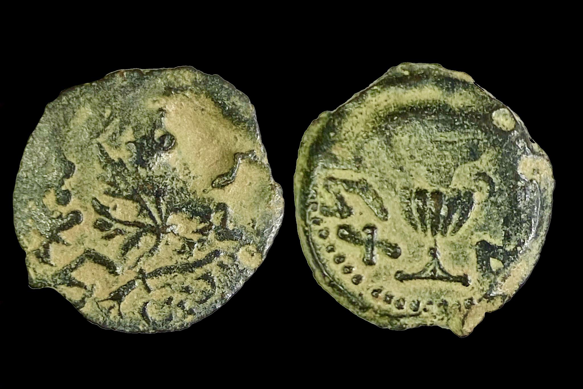 Bibliai érme Judea I. Zsidó háború prutah (felkelés) 66-67 Vespasianus ellen TJC 196; Sofaer 11-4; Hendin 1360