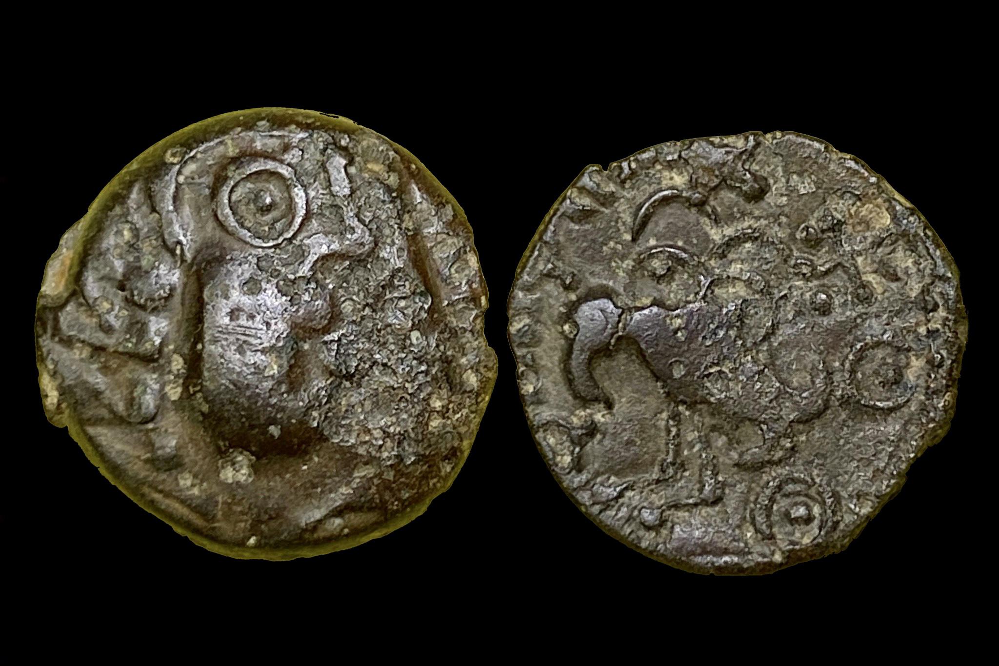 Kelta Senones típus (i.e.52) AE Pedigre R.Chevallier (1922-2015) Depeyrot V 126 