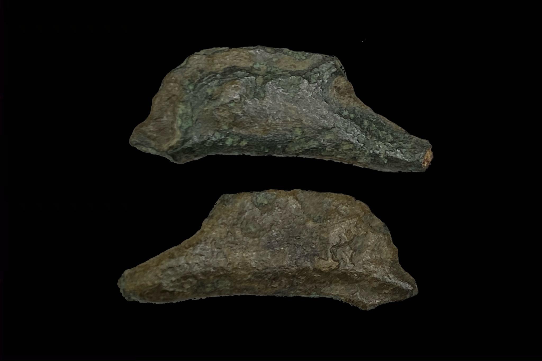 Olbia Sarmatia delfin pénz (i.e. 550-525) Pushkin 12 BM360