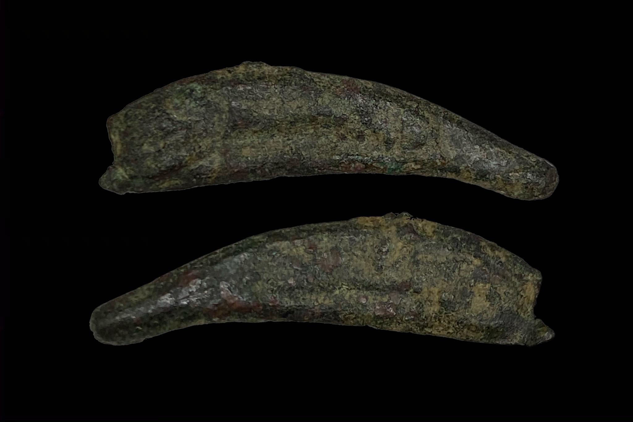 Olbia Sarmatia delfin pénz (i.e. 550-525) Pushkin 12 BM360