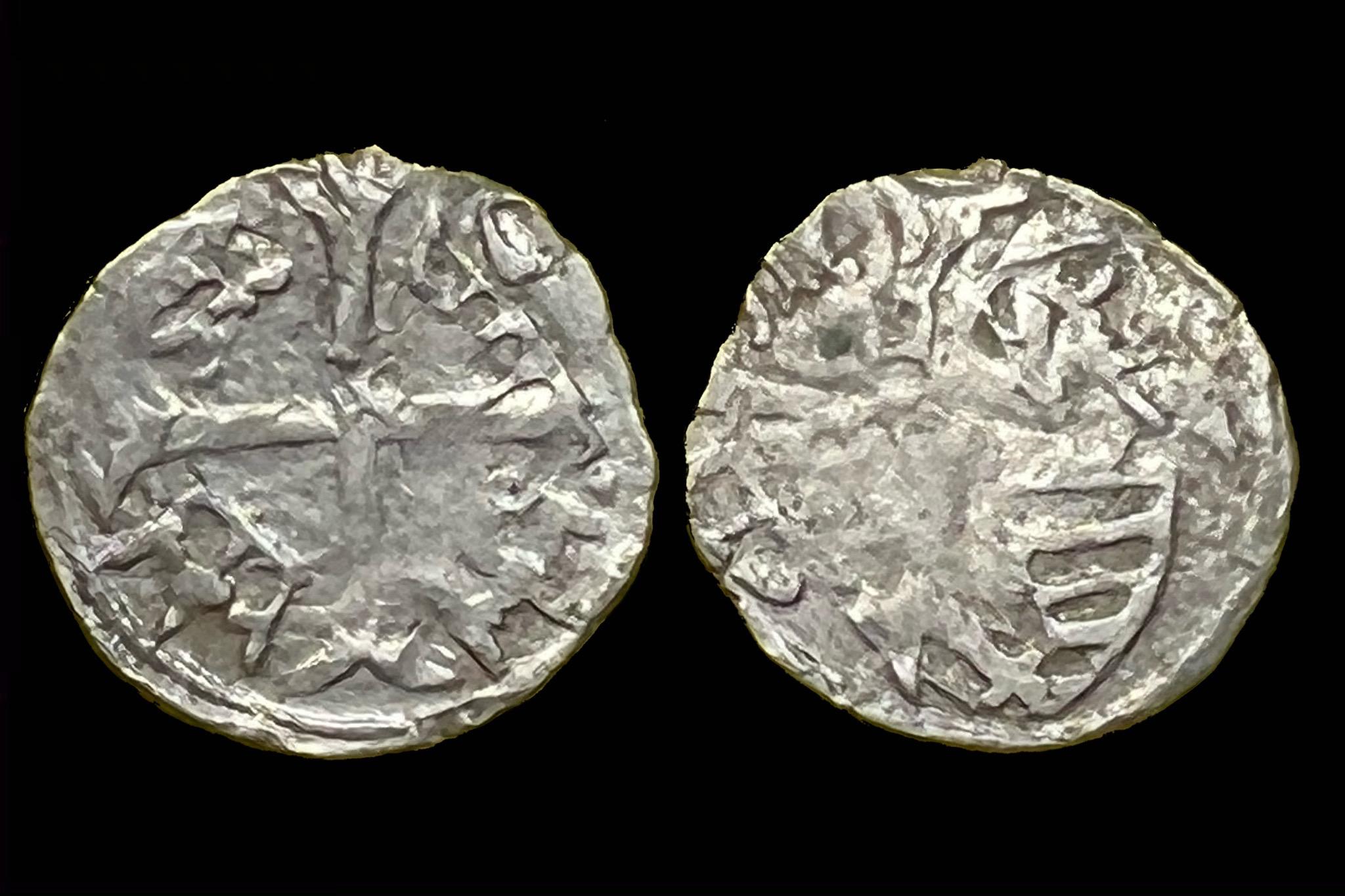 Zsigmond parvus Éh-453/a (veretkettőződés)