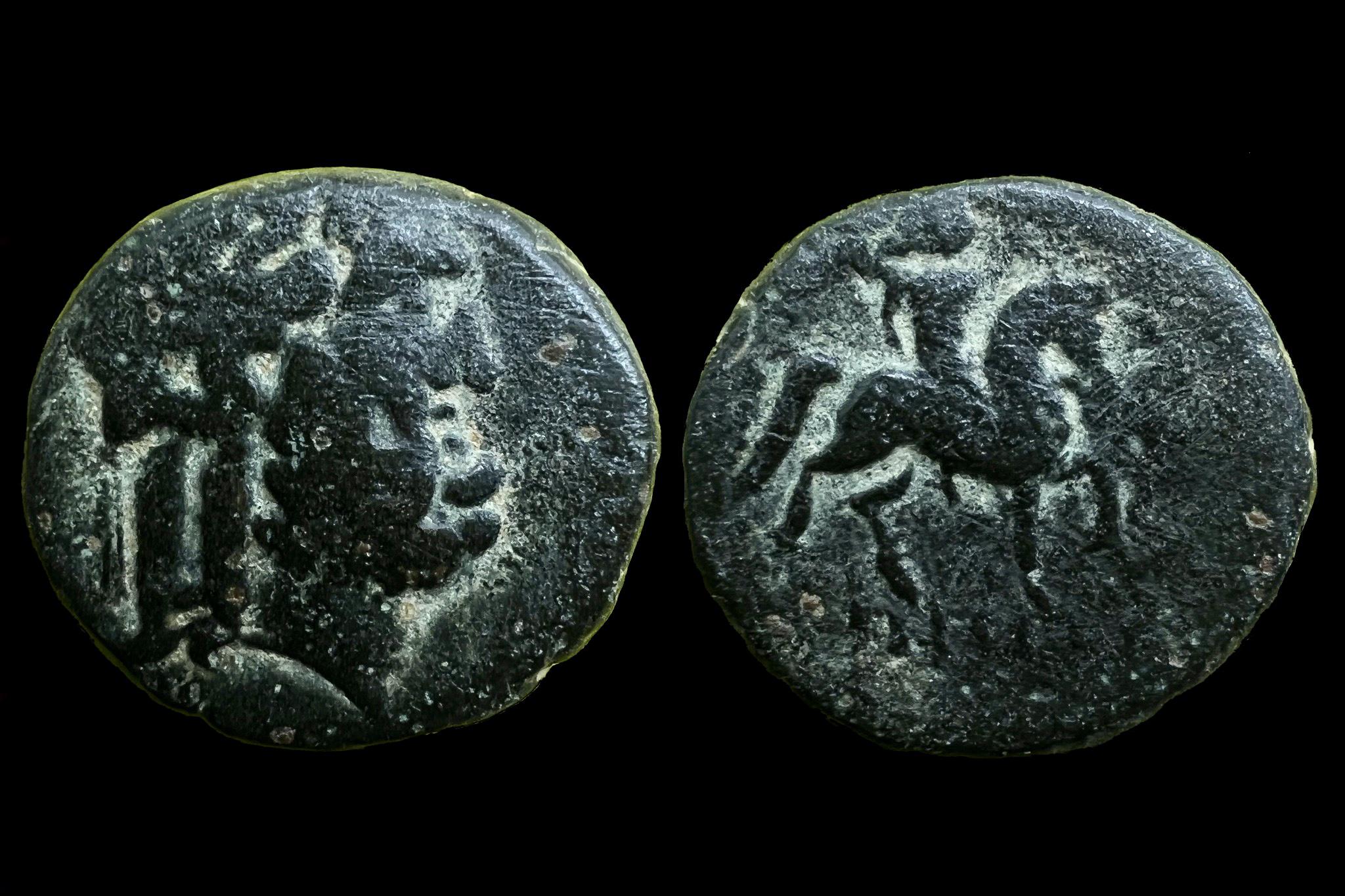 Szeleukida Birodalom II Kallinikos (i.e.246-225) AE 