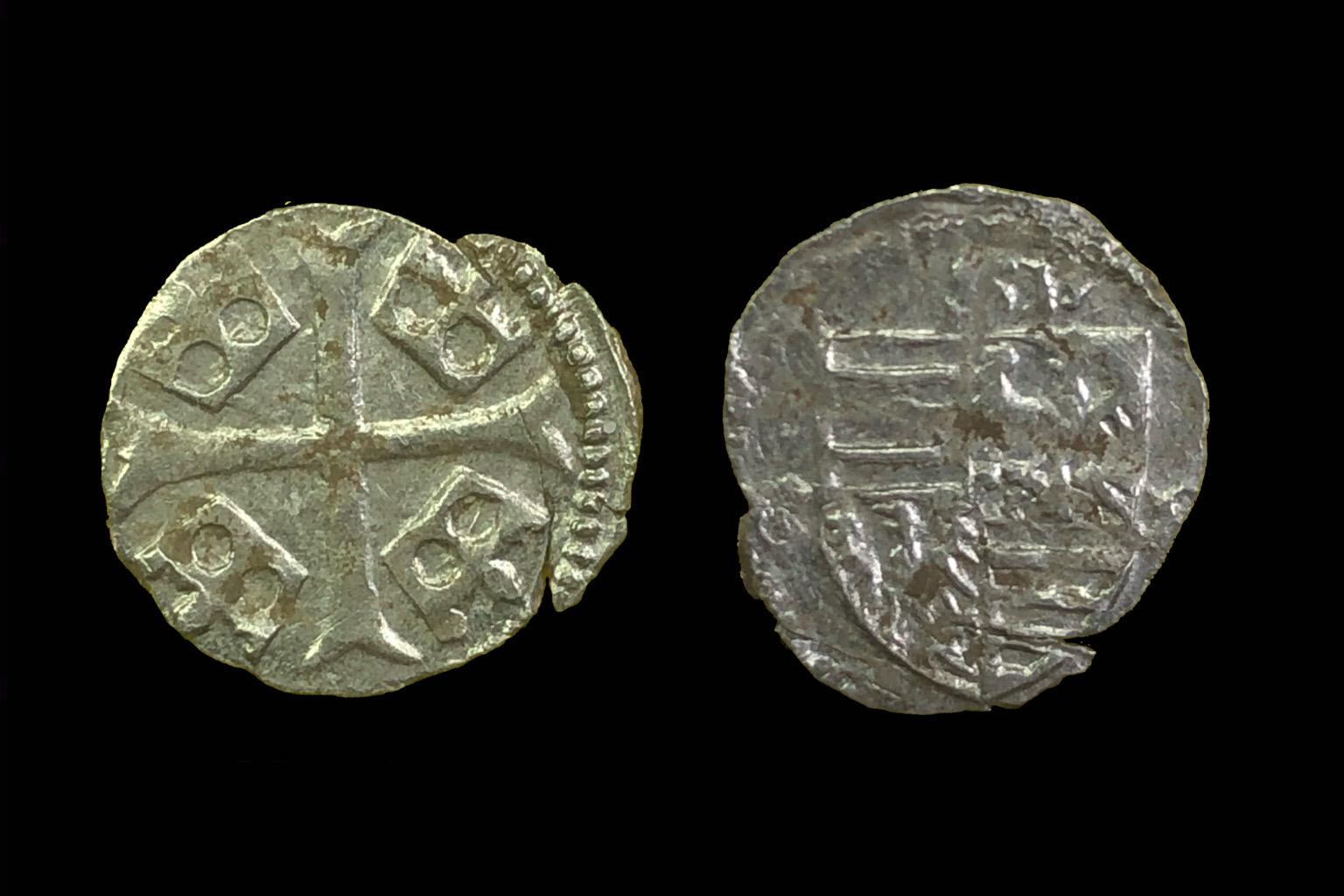 Zsigmond parvus Éh-451