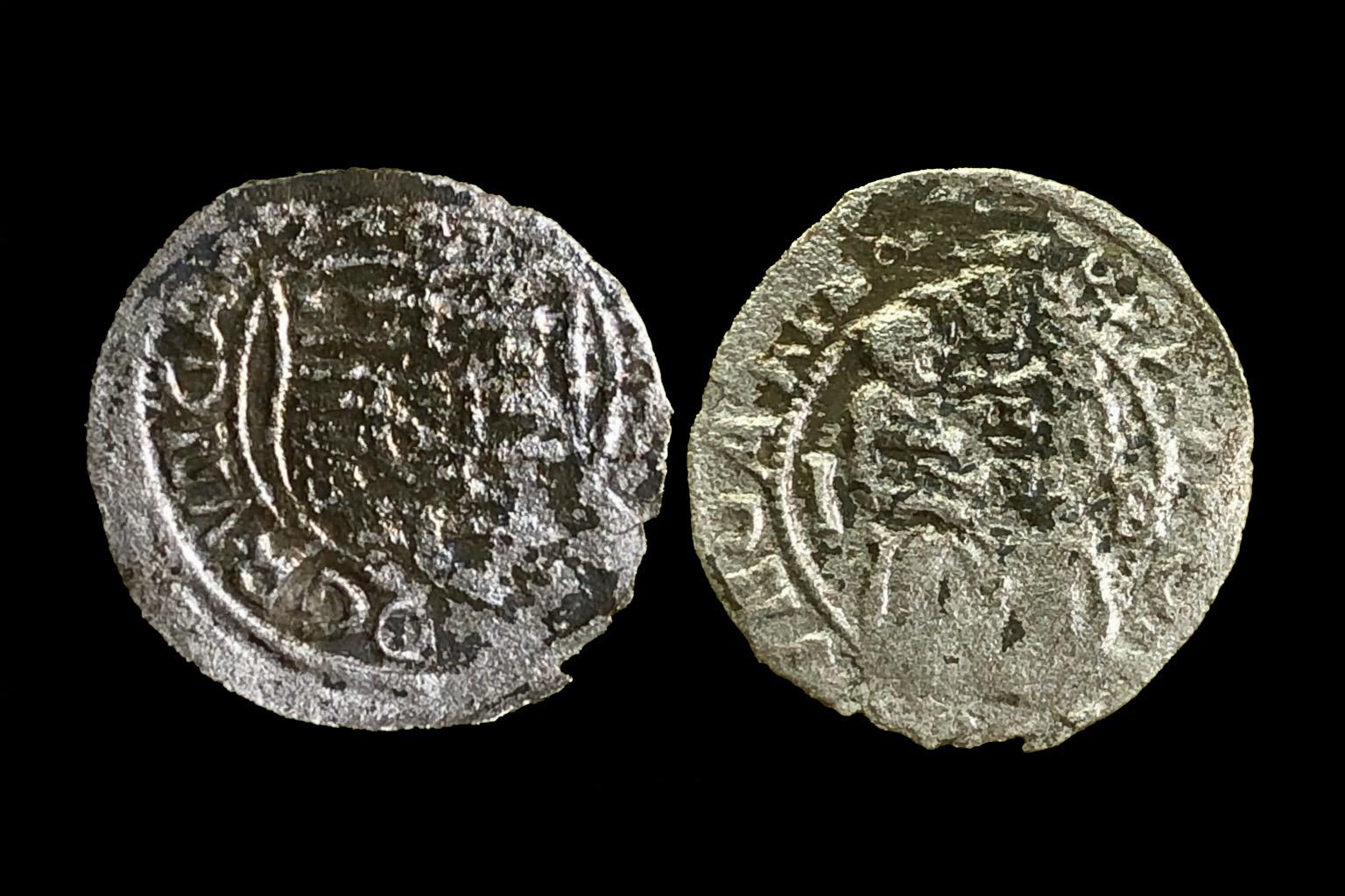 Szapolyai John denar Éh-705 I-B