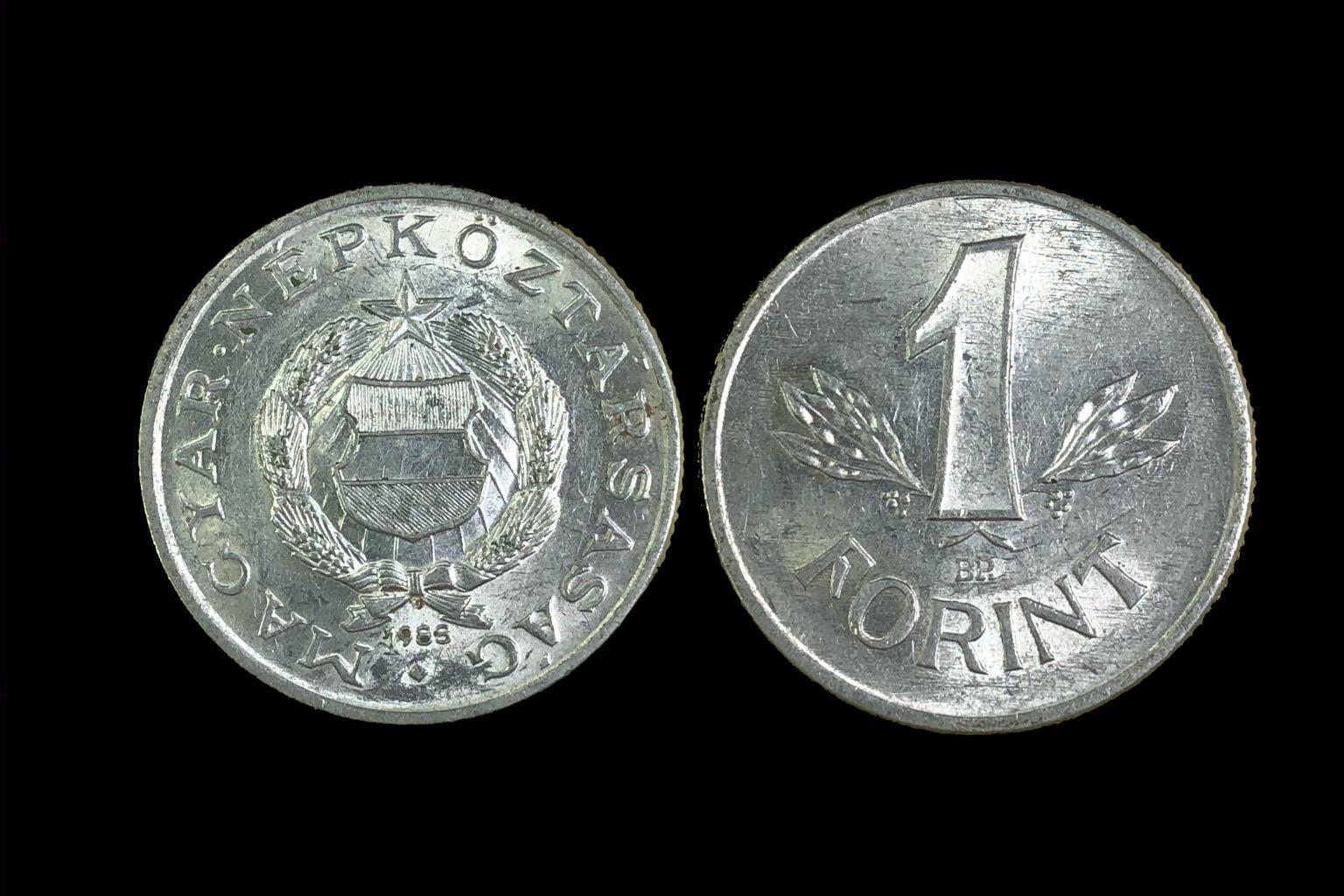 (1988) 1 forint Adamo F6.3