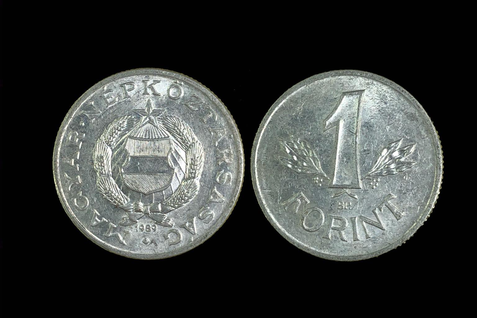 (1989) 1 Forint Adamo F6.3