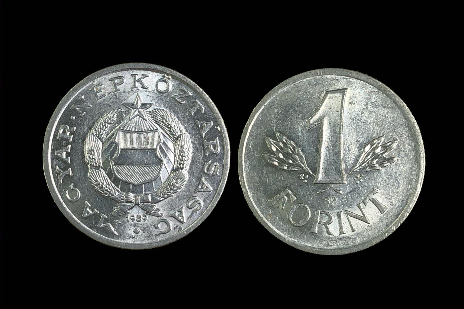 (1989) 1 Forint Adamo F6.3