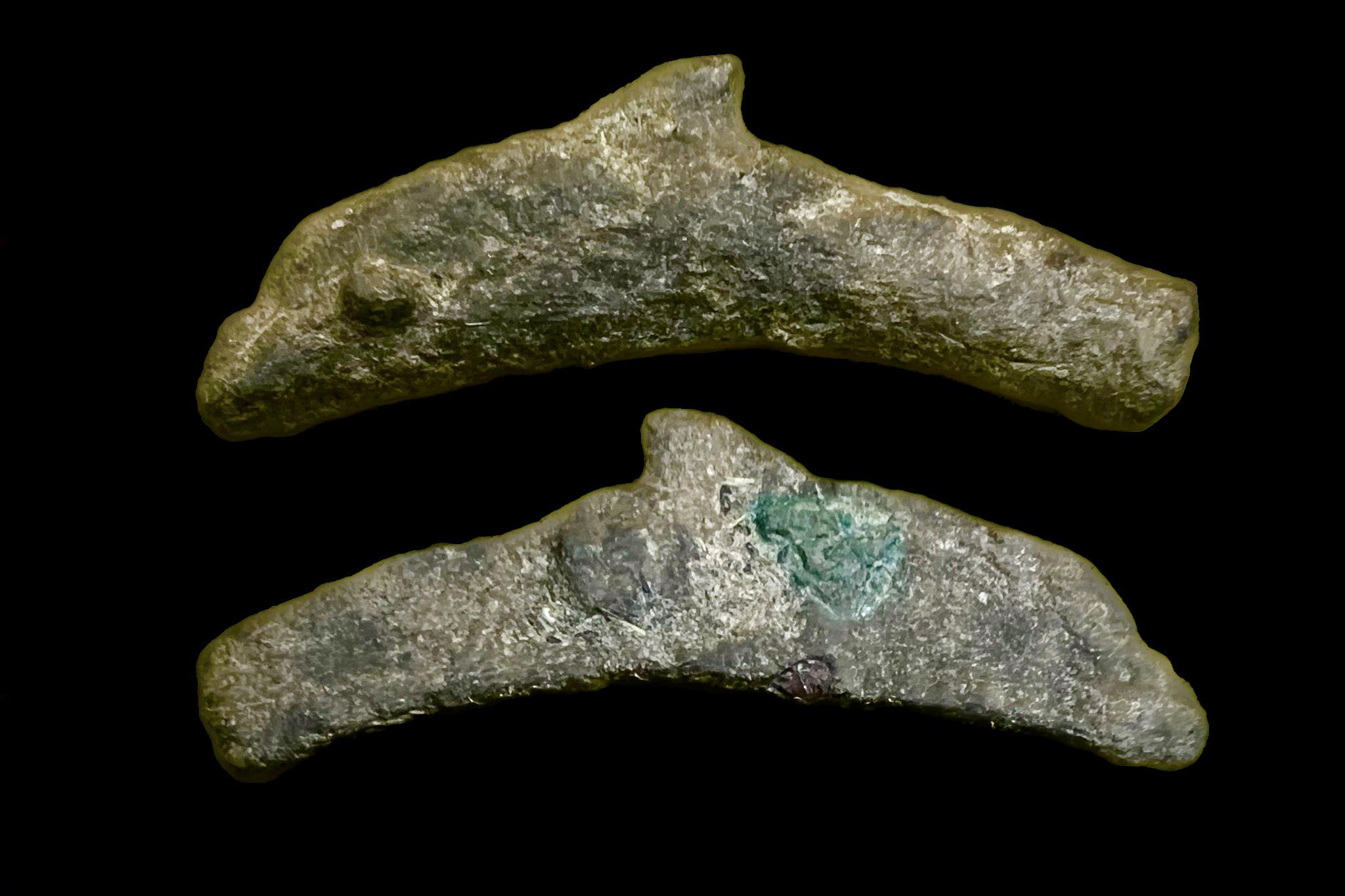 Olbia Sarmatia delfin pénz (i.e. 550-525) Pushkin 12 BM360 