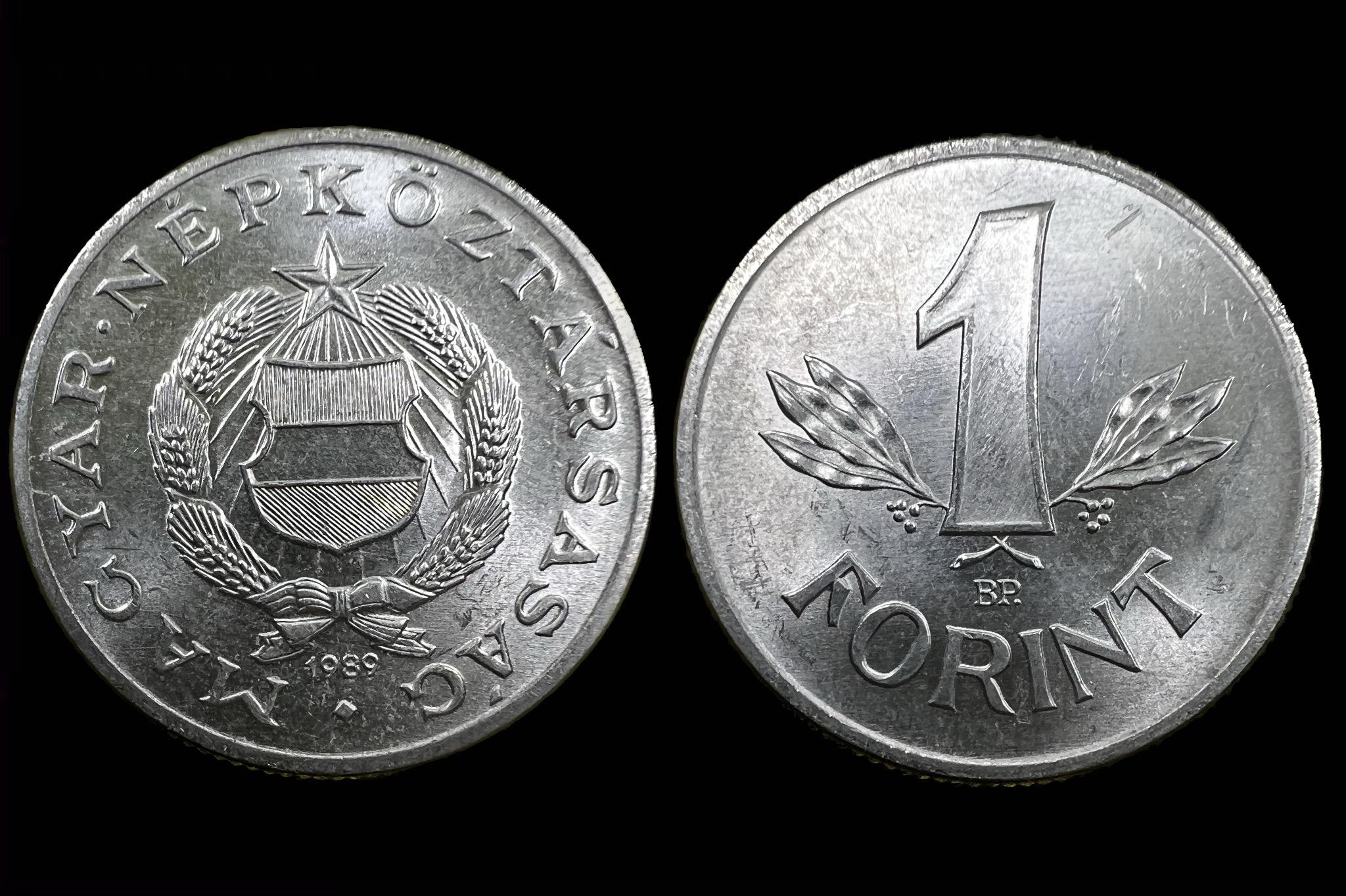 (1989) 1 forint  Adamo F6.3 