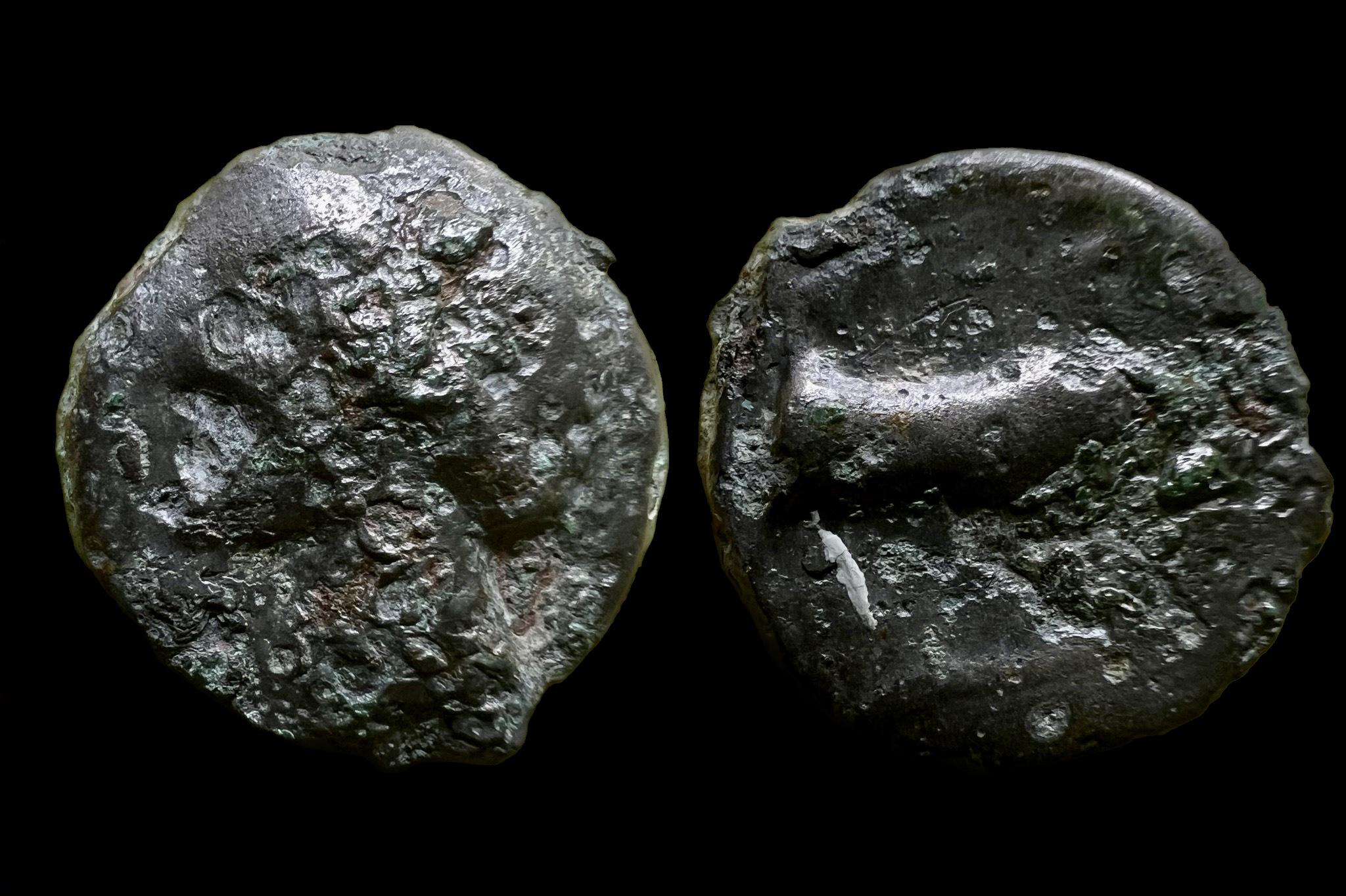 Kelta Gall-Belga Turones típus ( i.e. I.század) potin BMC301 
