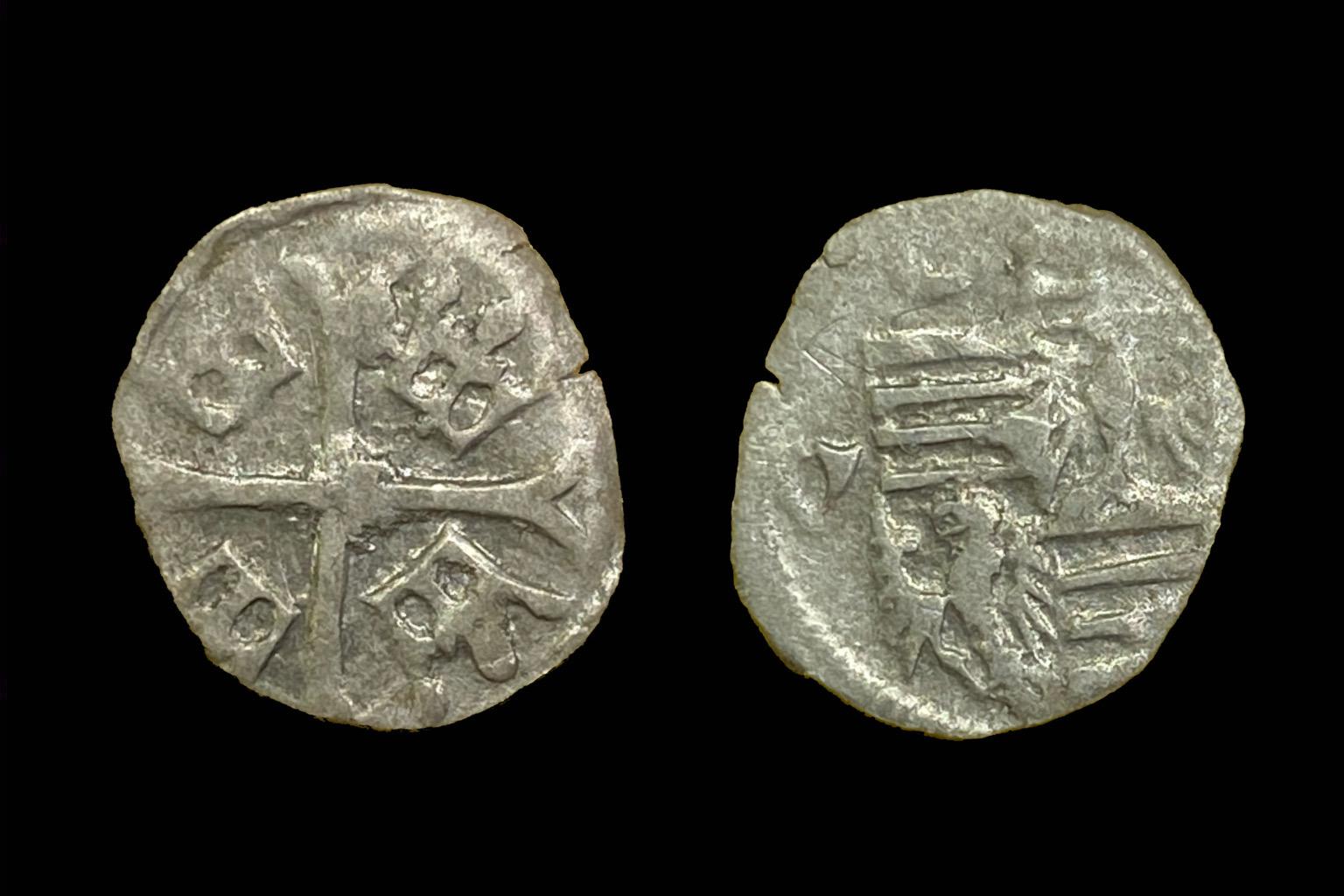 Zsigmond parvus Éh-451